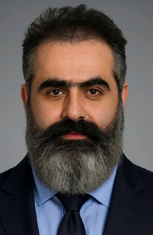 Amir Shamsinia